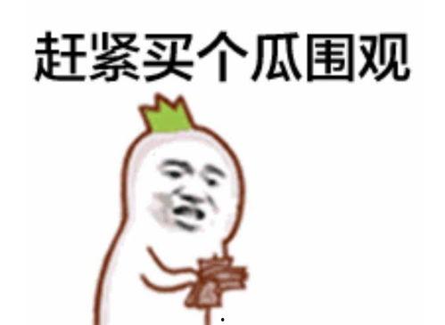 吃瓜群众表情包介绍